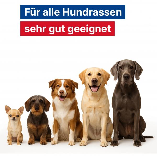GladiatorPLUS Hund - die Milieufütterung